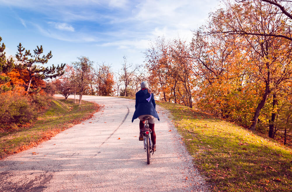 Betabrand Bike to Work Pants for Women