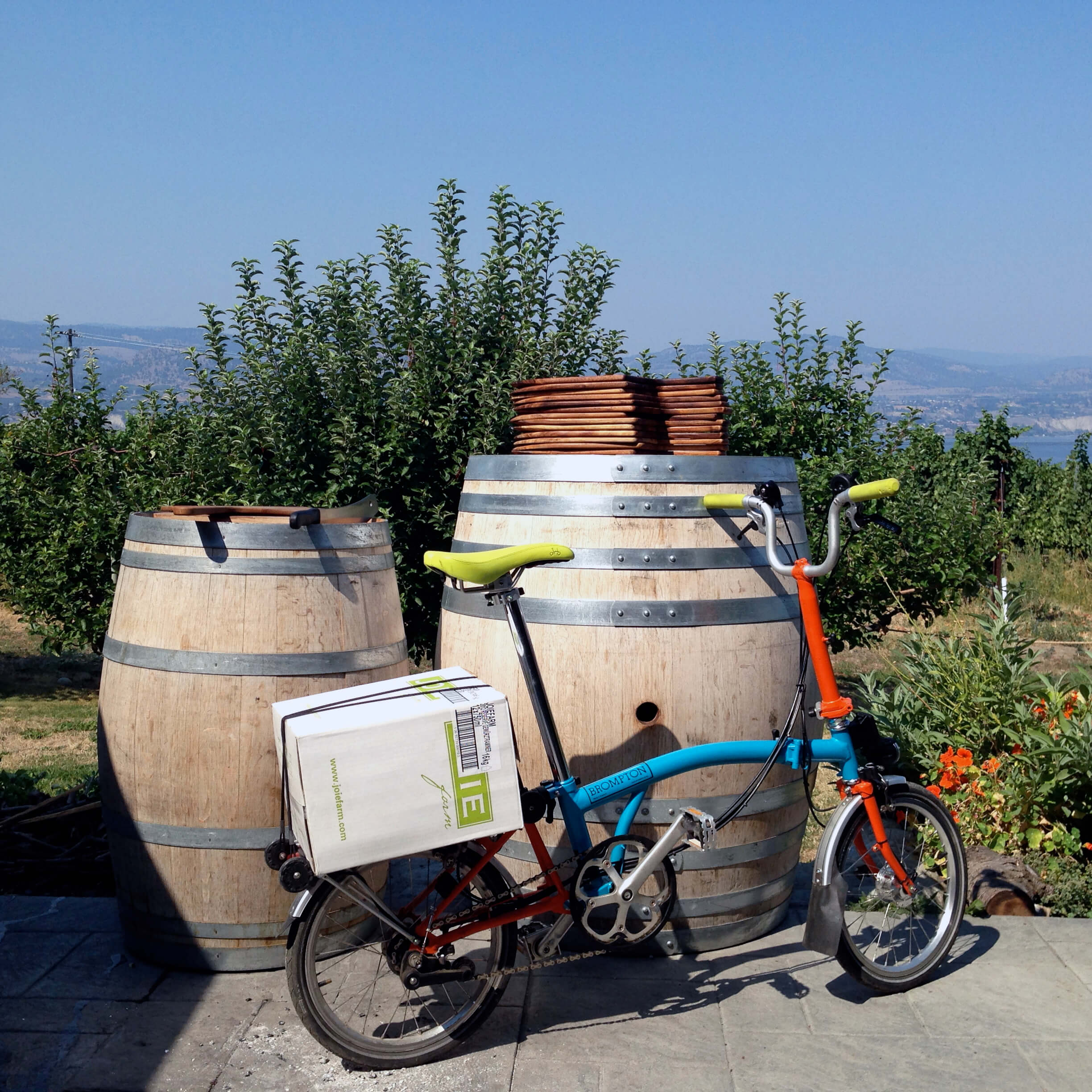 bicycle vineyard tour