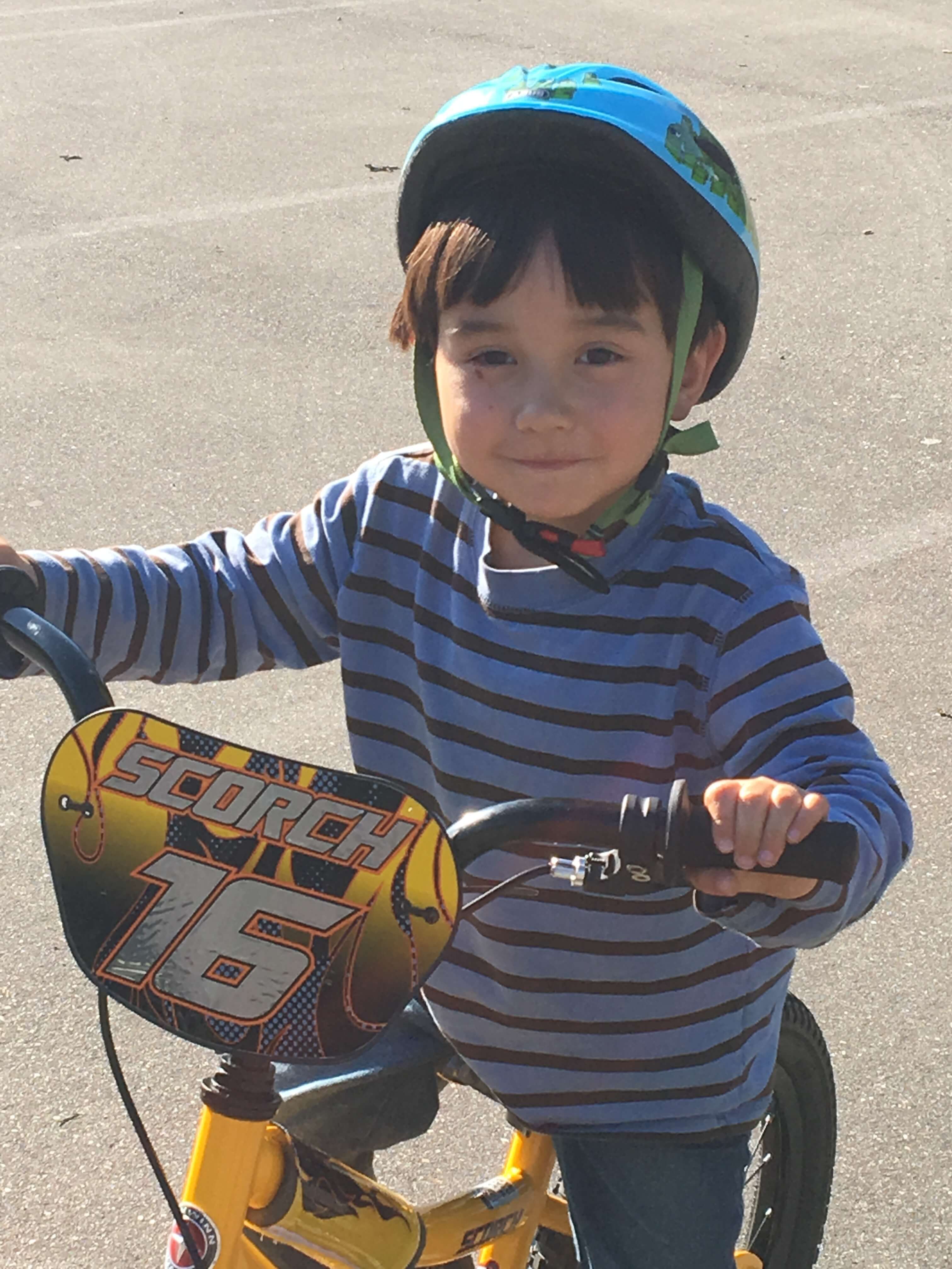 Schwinn Scorch 16″ and Breeze 20″ Kids’ Bikes Review