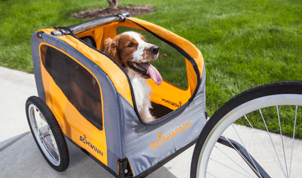 bicycle dog carrier