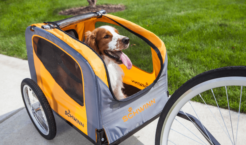 puppy bike carrier