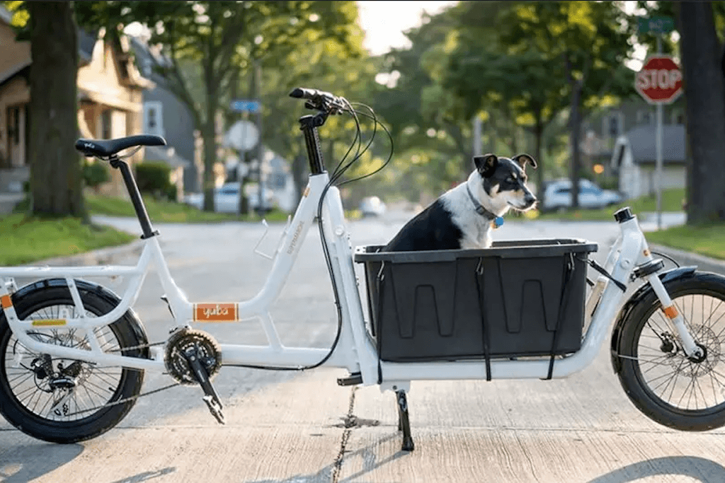 bicycling with dogs