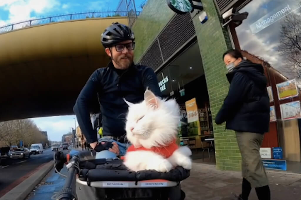 People can’t get enough of Sigrid, the UK cat riding on a fixie around London