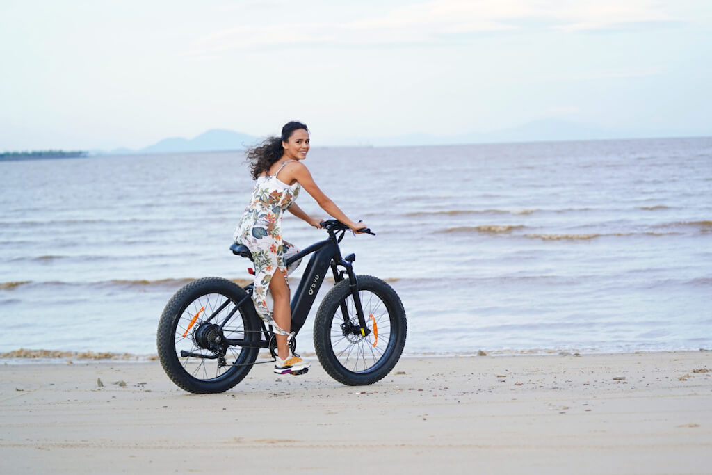 DYU’s King750 E-Bike is a Power-Packed Performer