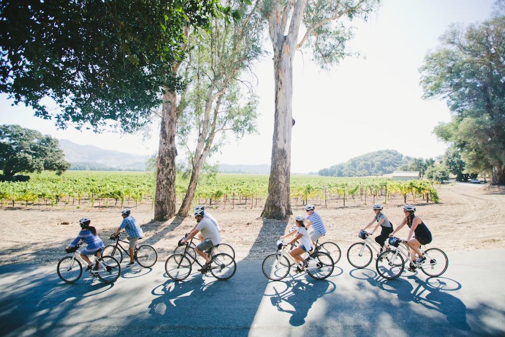 The Best Wine Region Cycling Routes to Explore this Fall