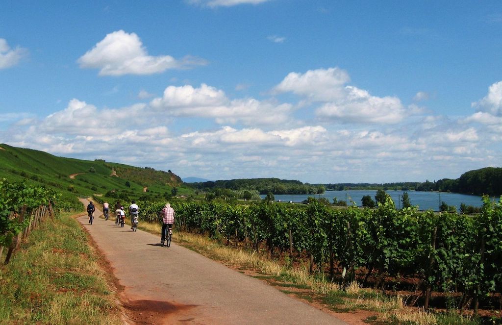 Rhine Route is a cycling route in Europe