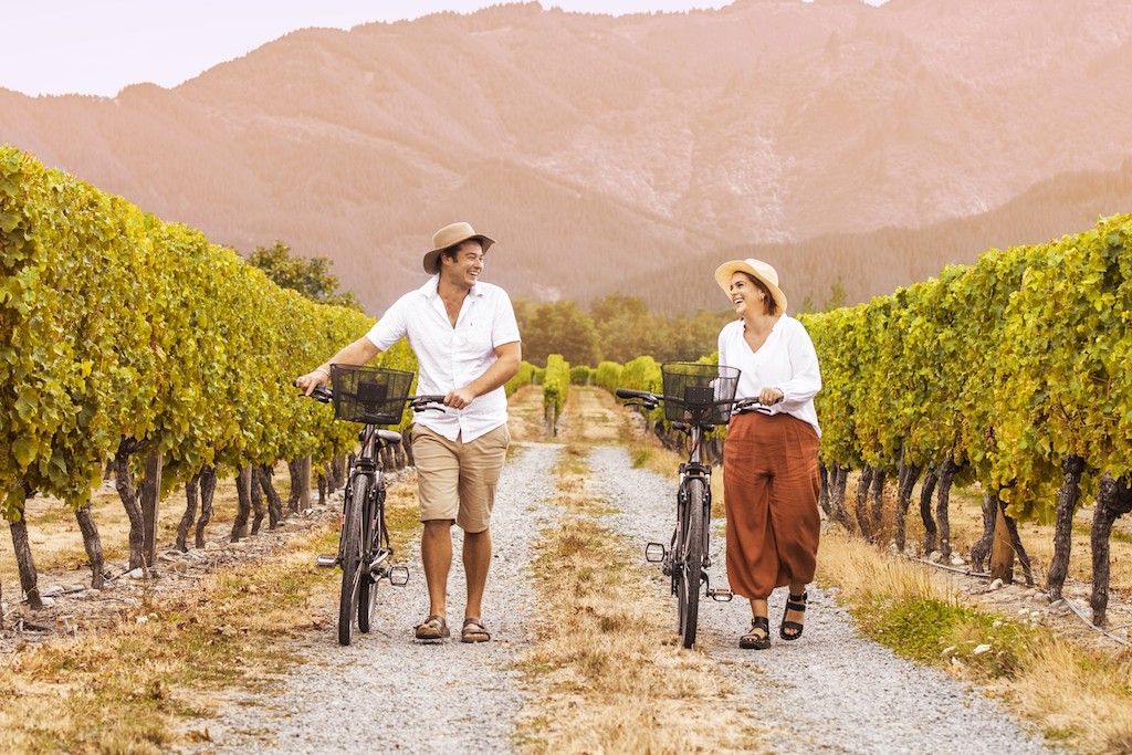 Ranking the Best Cycling Routes in US Wine Regions