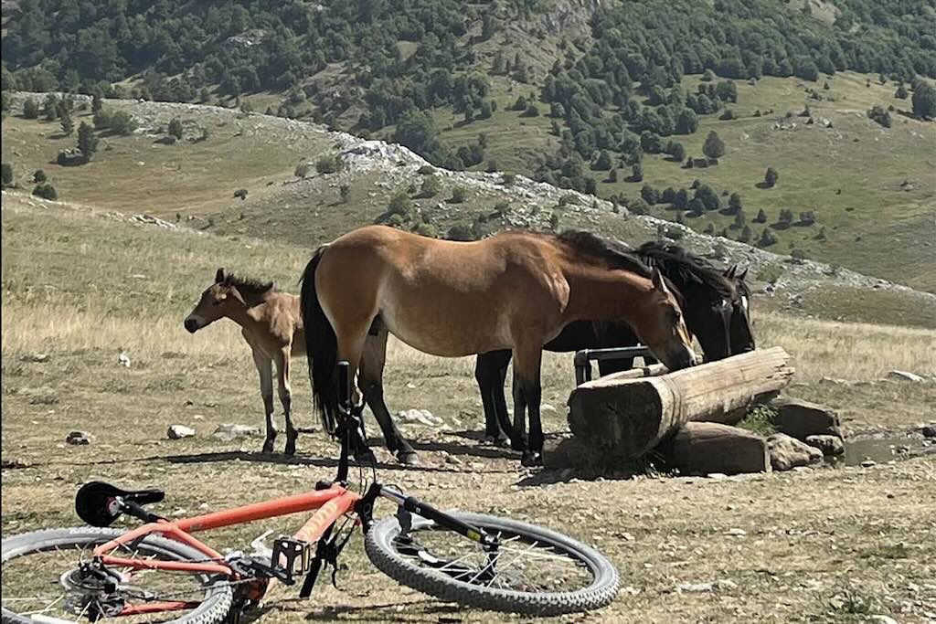 Balkans cycling route