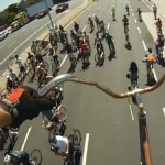 STOOPIDTALL at CicLAvia 2013 – LA Bike Cult